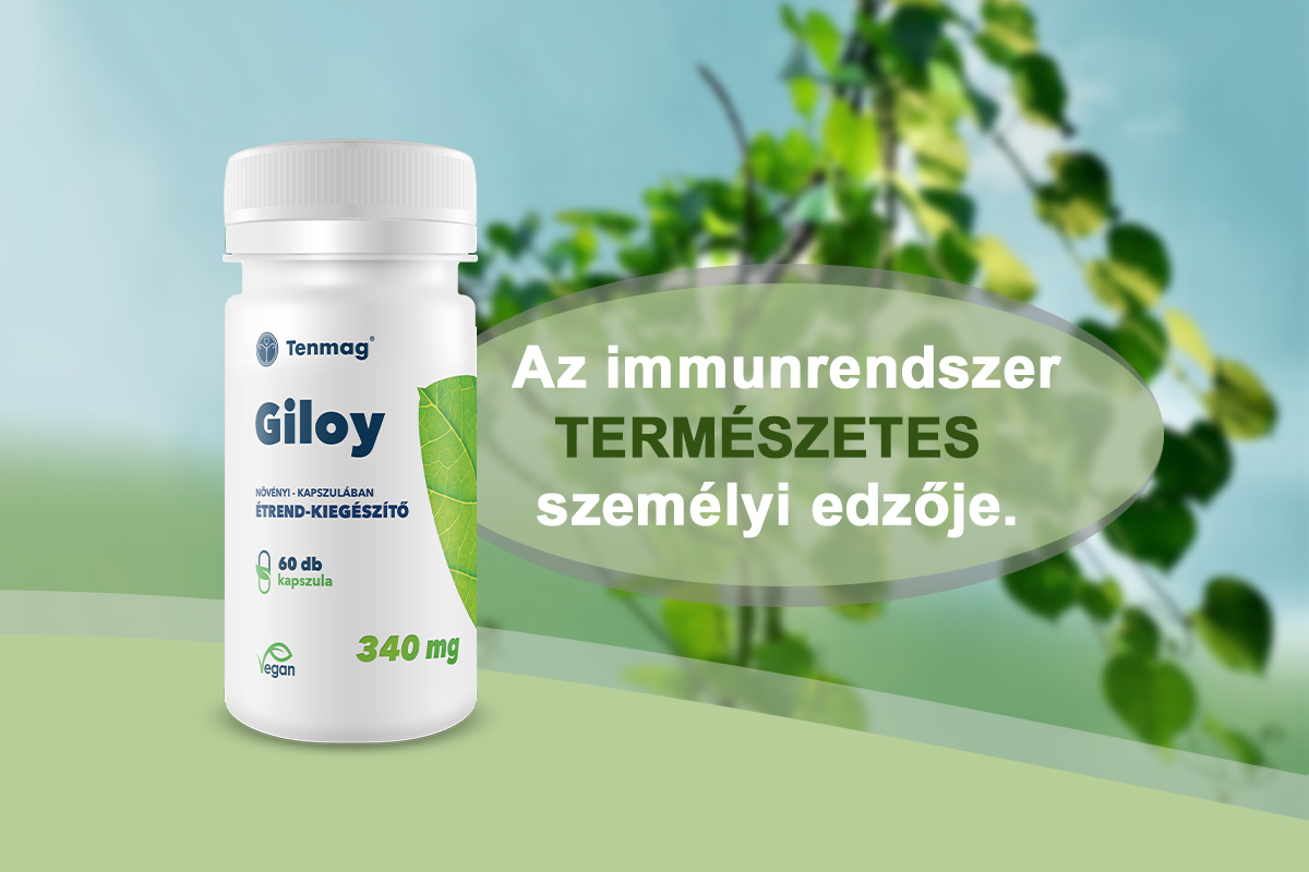 Giloy: az immunrendszer természetes személyi edzője