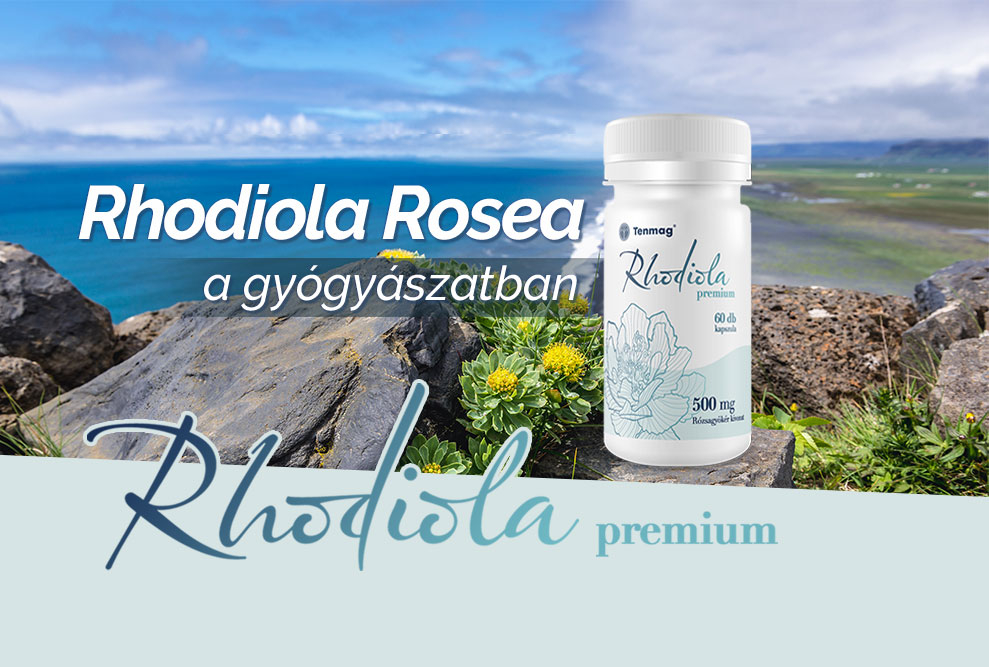 Rhodiola rosea a gyógyászatban 