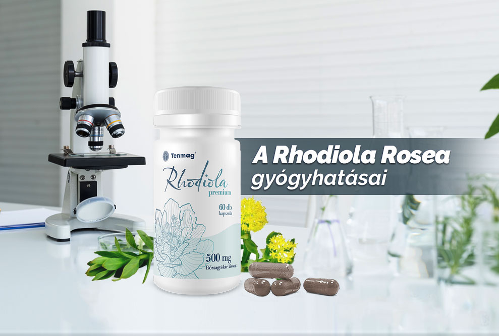 A Rhodiola Rosea gyógyhatásai 